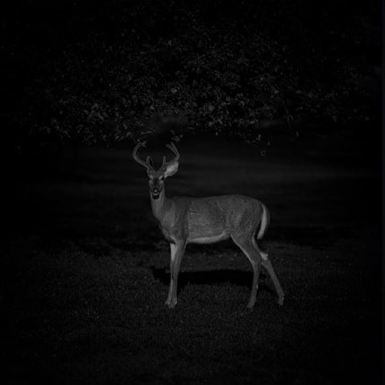 Night Rangefinders